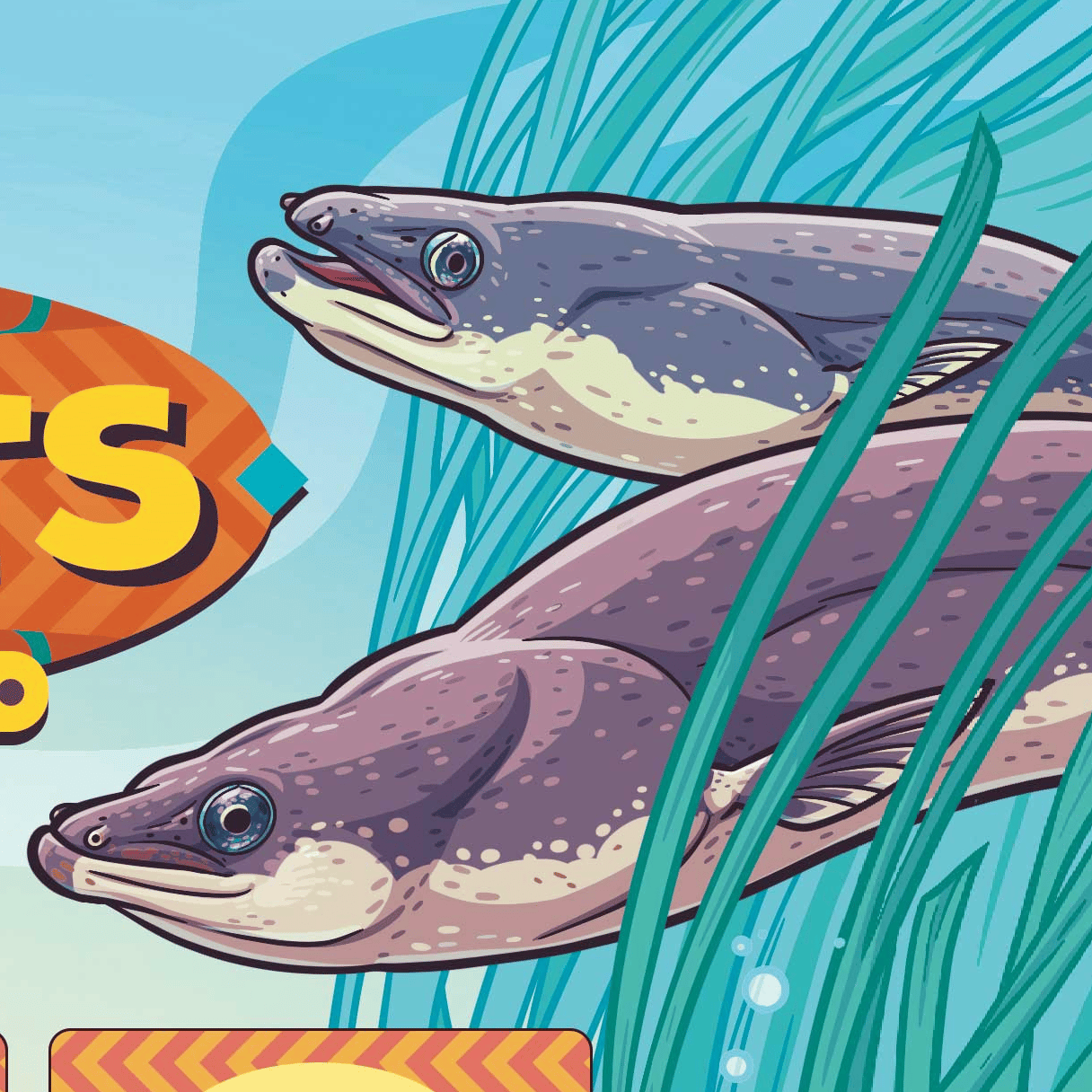 eel-facts-advent-calendar-support-skype-a-scientist-with-the-squid